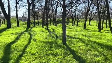 在一个夏日的春日里，公园里<strong>绿</strong>油油的<strong>小草</strong>和树木